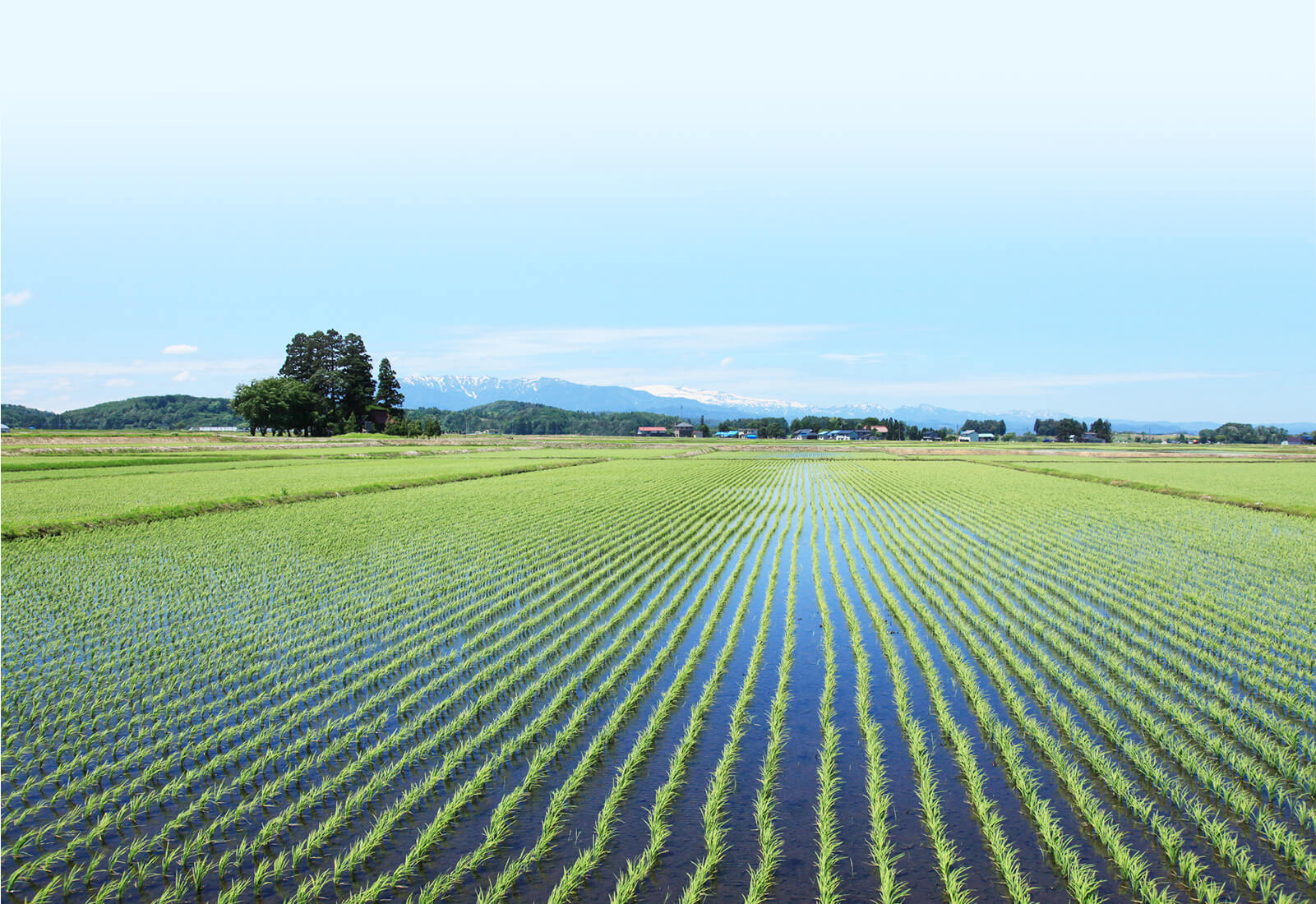 山形の田園風景