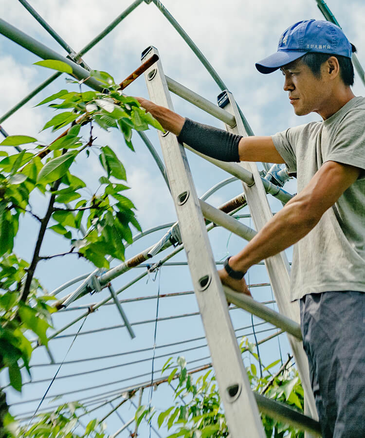 畜産農業部門の作業風景