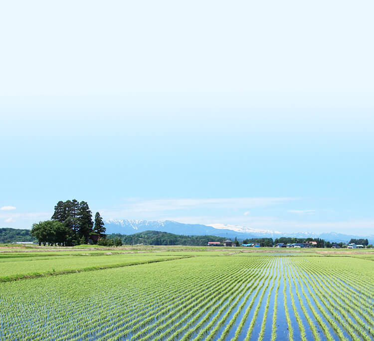 山形の田園風景