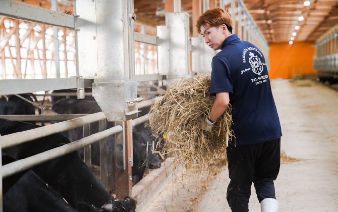 畜産・農業 ドリームファーム