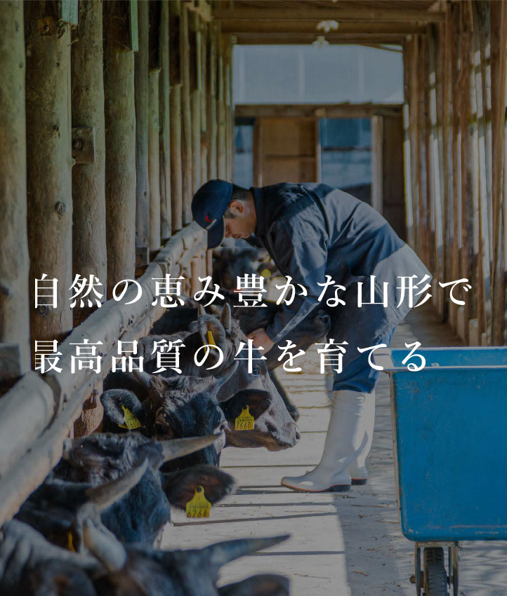 SPスライダー1