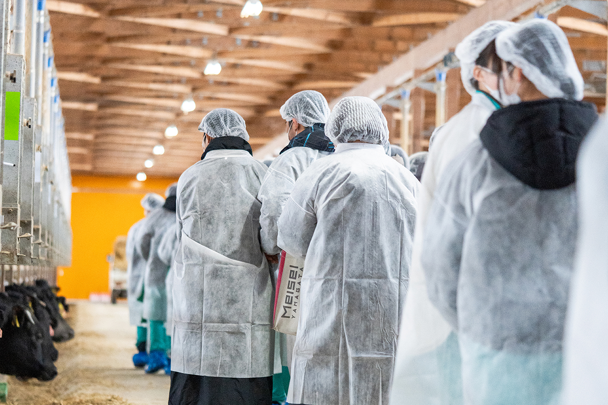 陵東中学校2年生が幸生牧場を見学